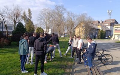 Posađen drvored magnolija na ulazu u školu