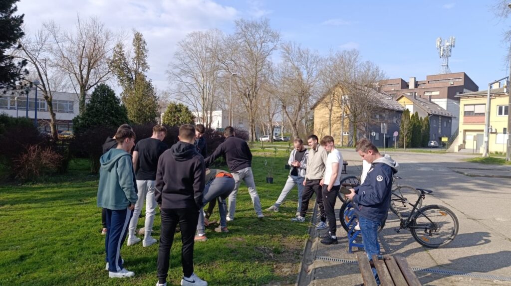 Posađen drvored magnolija na ulazu u školu